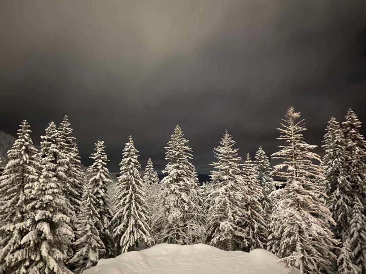Apartament Jahorina 7Lux Zewnętrze zdjęcie